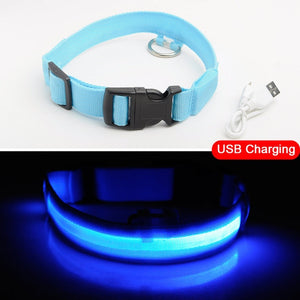 LED dog Collar