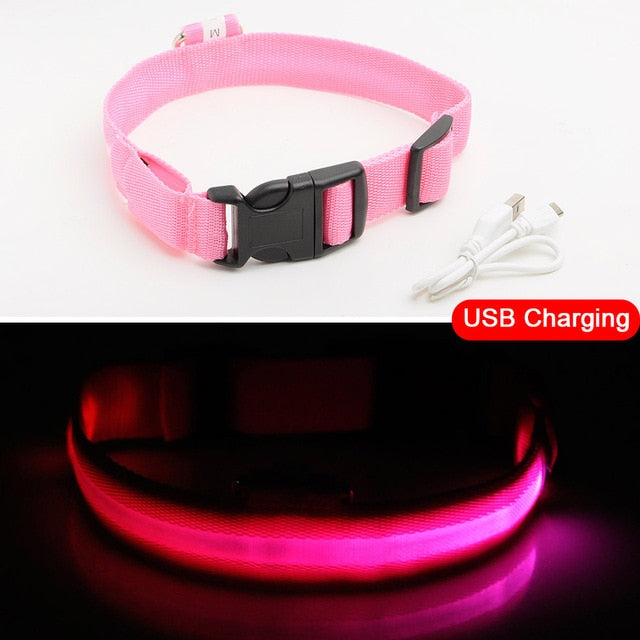 LED dog Collar