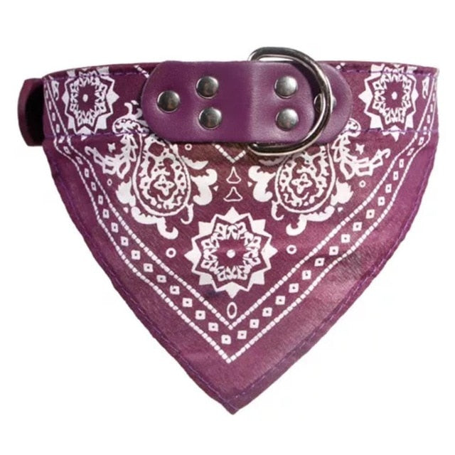 Dog Collar Neckerchief