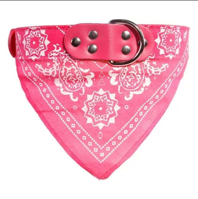 Dog Collar Neckerchief