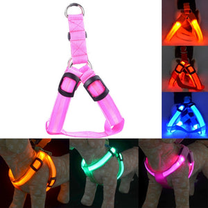 LED Nylon Dog Cat Harness Collar