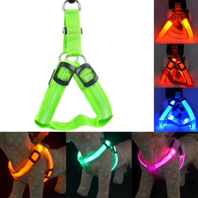 LED Nylon Dog Cat Harness Collar