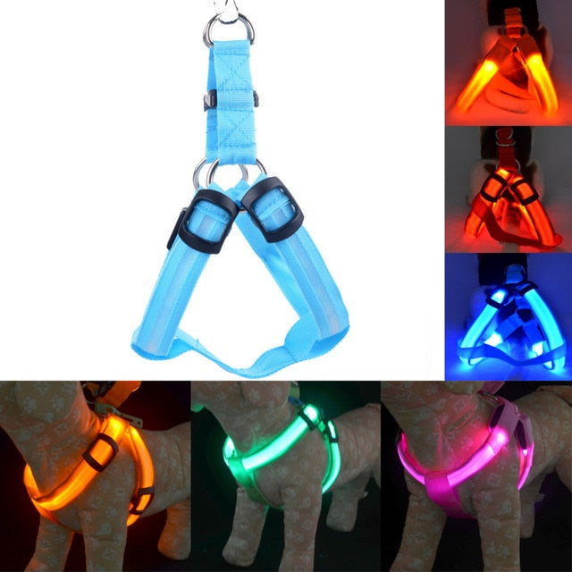 LED Nylon Dog Cat Harness Collar