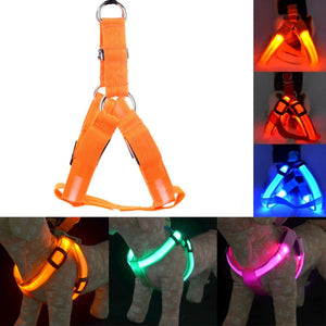 LED Nylon Dog Cat Harness Collar