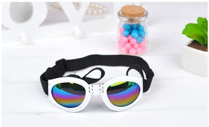 Dog Protection Goggles