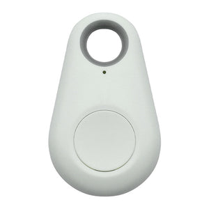 Anygift4pets Mini Anti-Lost Waterproof Bluetooth Locator