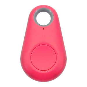 Anygift4pets Mini Anti-Lost Waterproof Bluetooth Locator