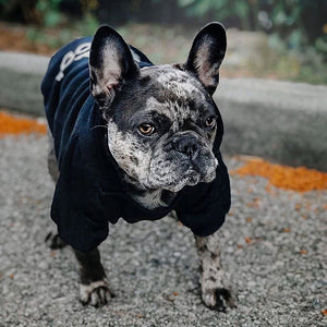 Adidog and Adicat Hoodies