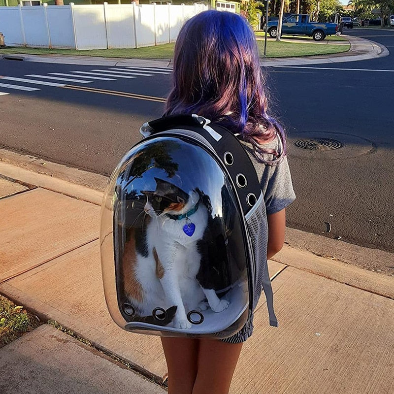 Cat Shoulder Breathable Backpack