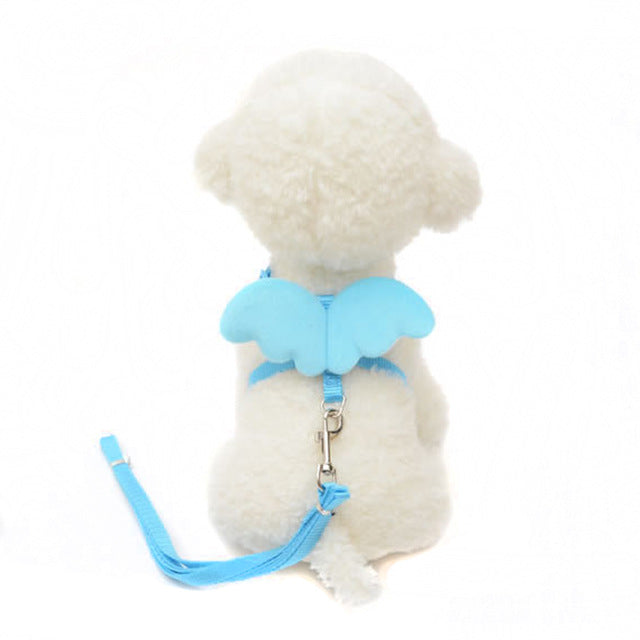 Dog Collar Multi Colors