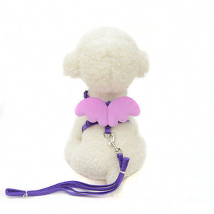 Dog Collar Multi Colors